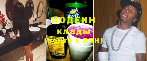 индика Армянск
