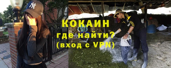 индика Армянск