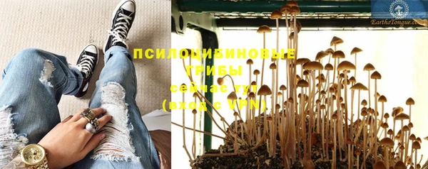индика Армянск