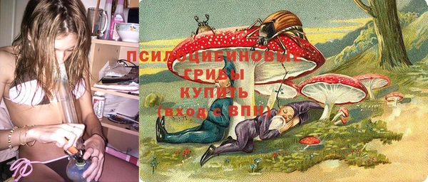 индика Армянск
