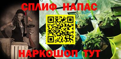 СК Изобильный