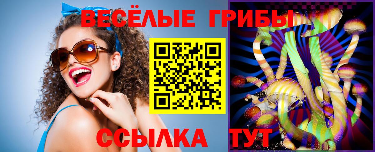 Костомукша  Псилоцибиновые грибы Psilocybine cubensis  Вход с VPN 