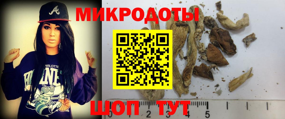 Псилоцибиновые грибы MAGIC MUSHROOMS Костомукша